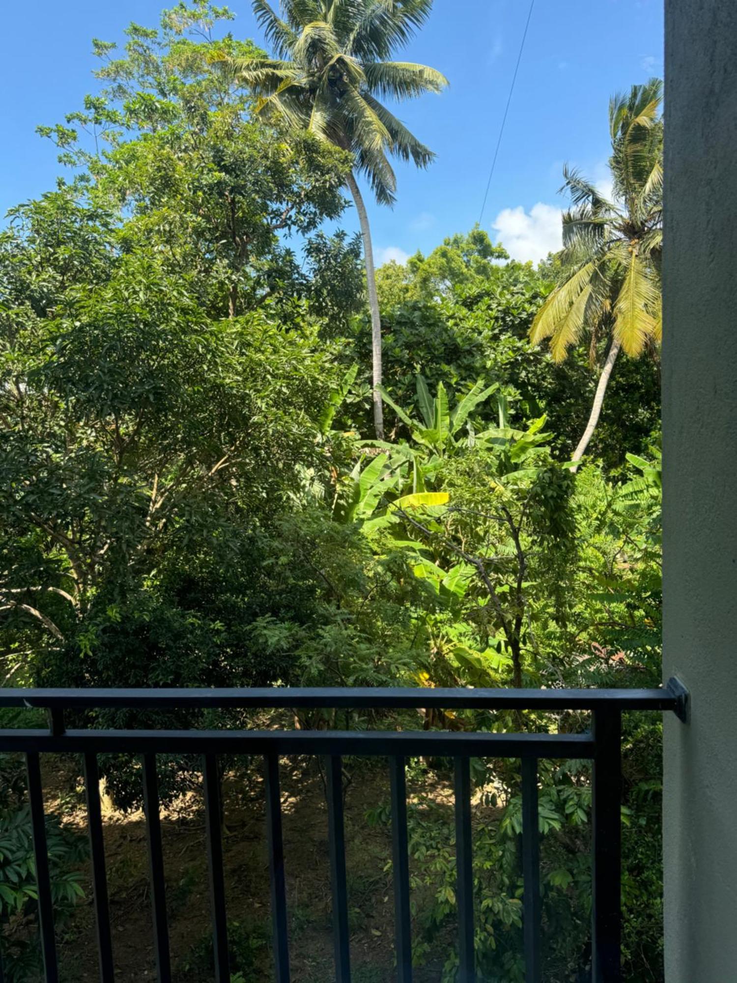 Sapiens Home - Weligama Bay Buitenkant foto